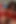 Yasak Rüyalar