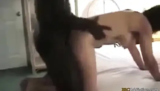 BBC Addiction - MY wife lovec big black cock