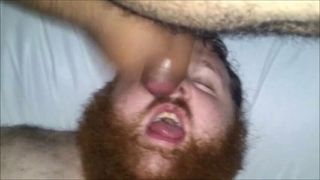 Bear Facial #13 - Mixed uncut top bear suck, fuck & facial