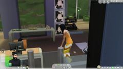 The Sims 4 (mod sesso)