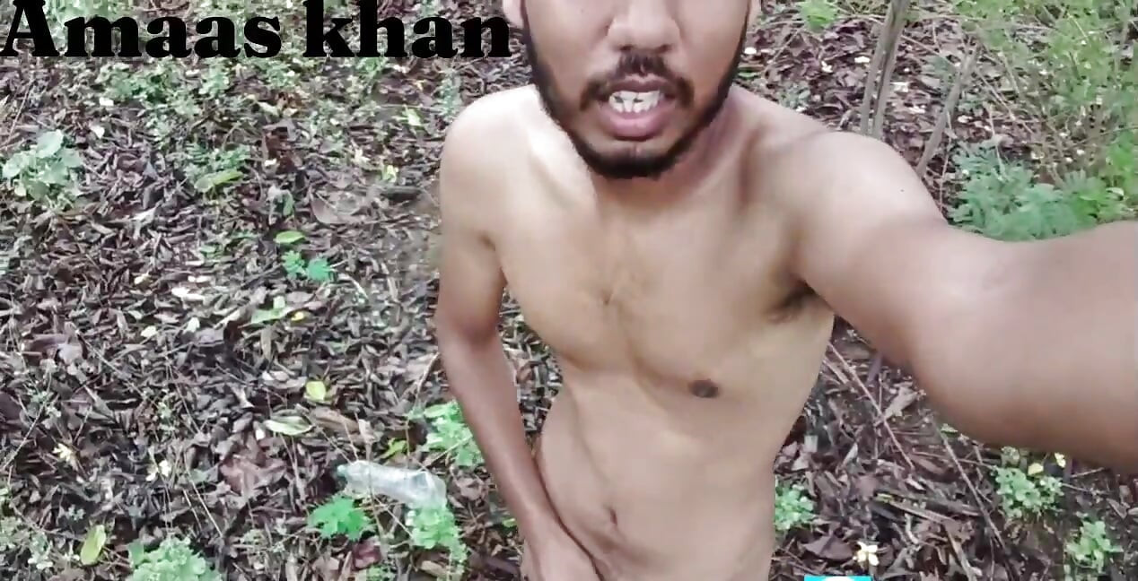 Jungle my Mangal part 1