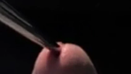 Benim horoz köle - penis ekleme - peehole kalem