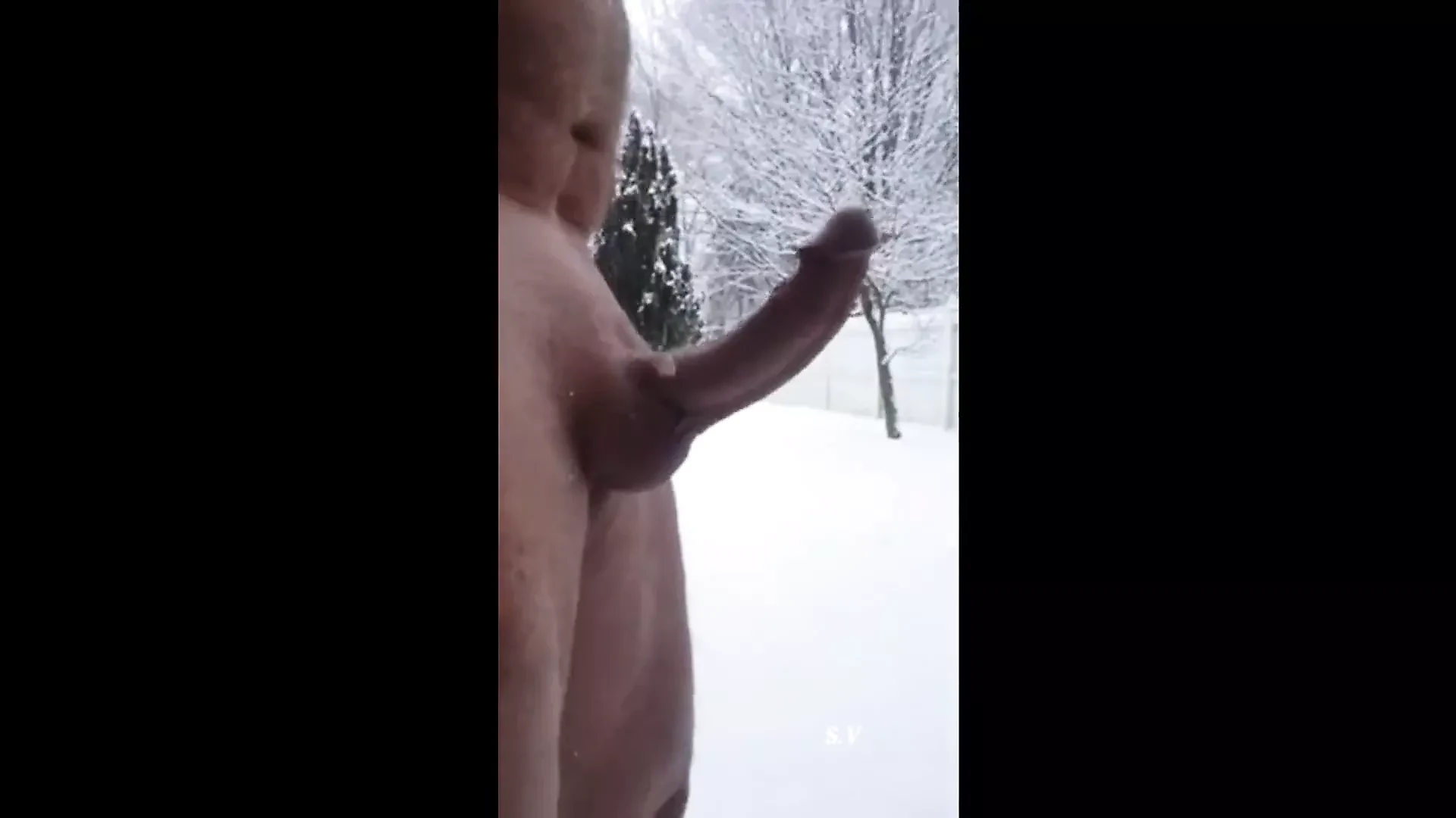 Beautifull cock 01