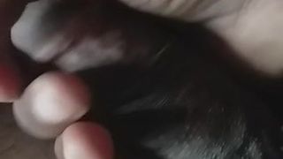 Sri Lankaanse zwarte pik met moedervlek