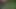 Exotische Schlampe im hohen Gras Outdoor gefickt