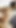 Malay tiktoker 2026'da viral oluyor, erkek arkadaşıyla otelde dölleniyor | Klip 1