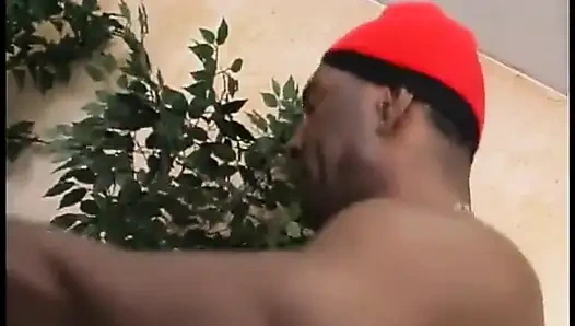 Ein paar glückliche schwarze dongs schaden an der muschi