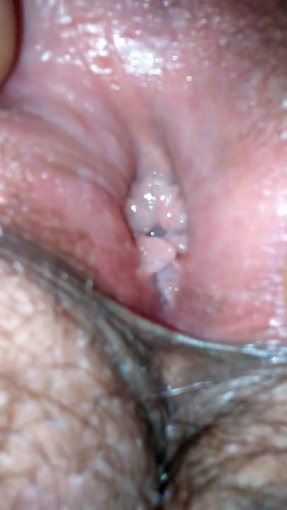 Pussy