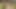 A guy fucks a sexy stranger in the woods and cums on her face