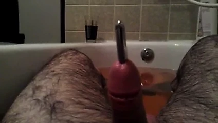 Dilator im Schwanz