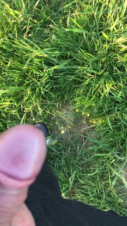 Cock Flash After piss