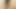 Hot Asian Woman providing a Blowjob while being Fingered and Creampied - Uncensored JAV!