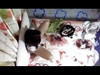 Pregled videozapisa
