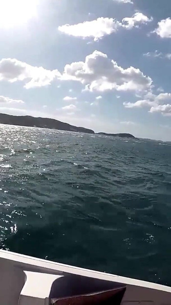 Captivating moment from "Having sex on the speedboat on the high seas"