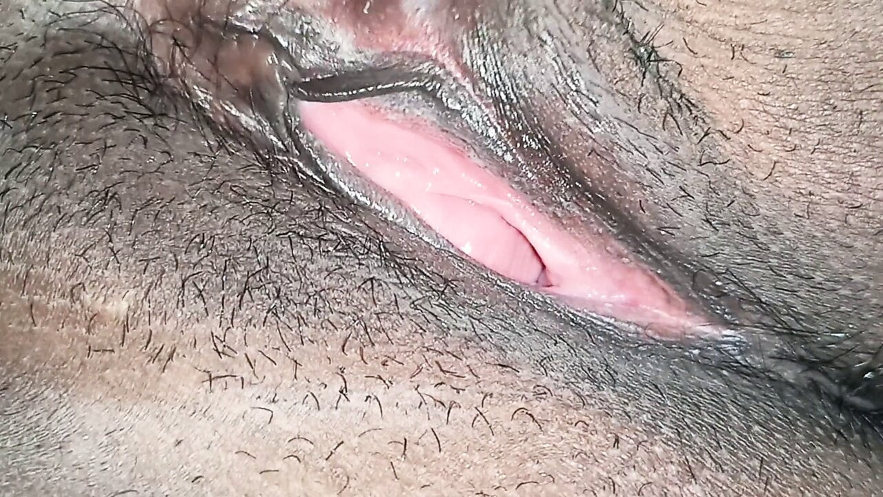 Indian pusy