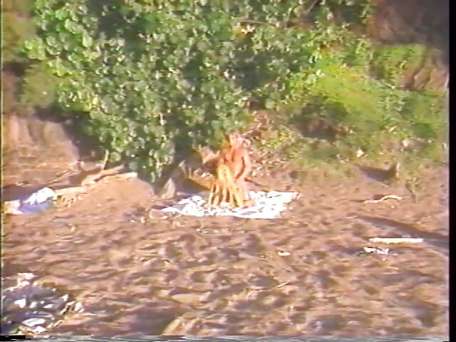 Undercover Agents Francois Papillon and Kascha Were Sent to Hawaii to Catch Syndicate Big Fish