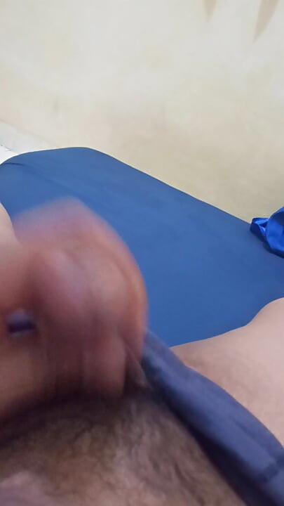 Coli sange beratt
