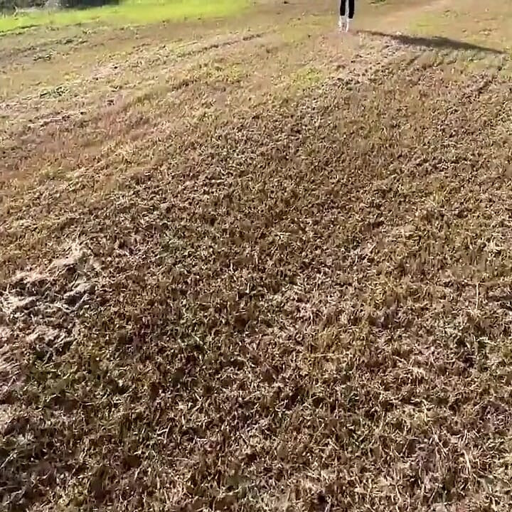 Caught a Pissing Girl and Took Her to the Mountains to Fuck