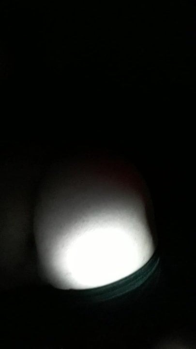 cum ass