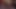 Fresh Flesh Scene 1