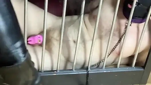 Искушение, разочарование и сопротивление...