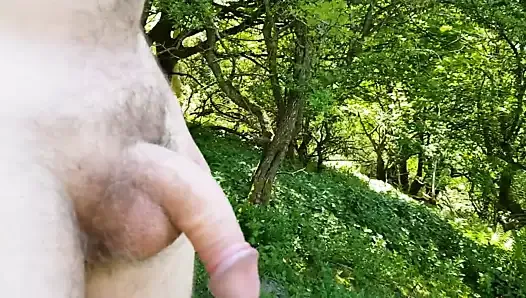 Nue dans les bois