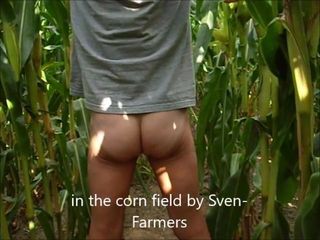 Masturbando no campo de milho