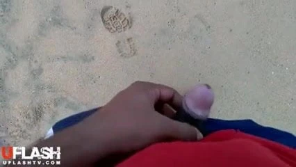 Indian Dickflash