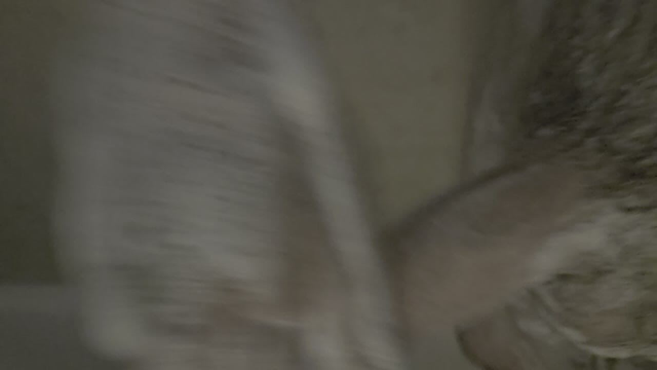 Suds
