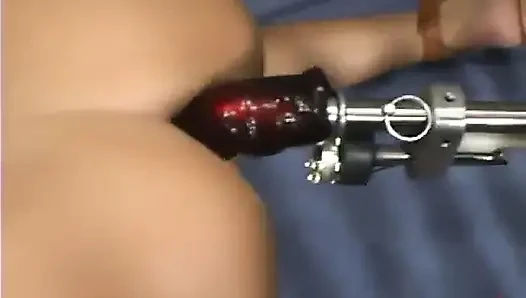 Sativa Rose