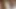 Funk und viel Schlampen
