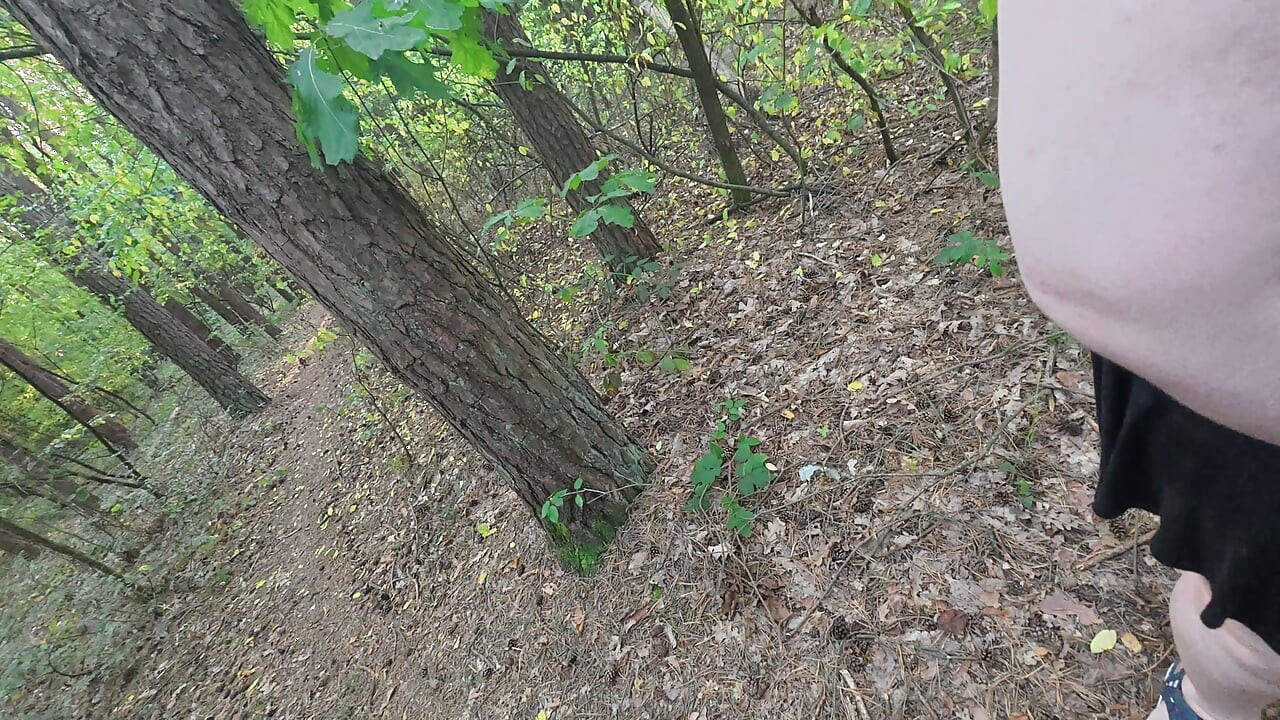 Un paseo por el bosque