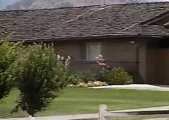 Vintage 002