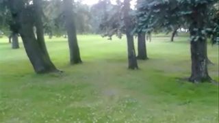 Unsichtbares Sprungbrett auf dem Gras und den Bäumen