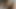 Deutsche cam – reife schob bad dragon dildo in fotze