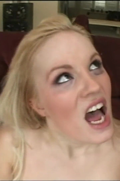 Uma vida para pau vol.2