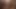 Daha güzel porno ama o kirpi var