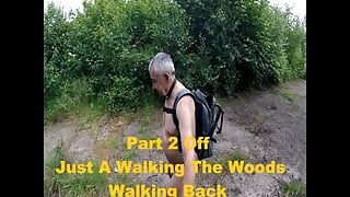 Teil 2 Spaziergang im wald