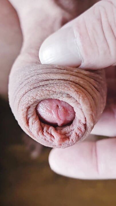 Pria sange yang belum disunat lagi asik mainin kulup panjangnya dan dicrot sperma
