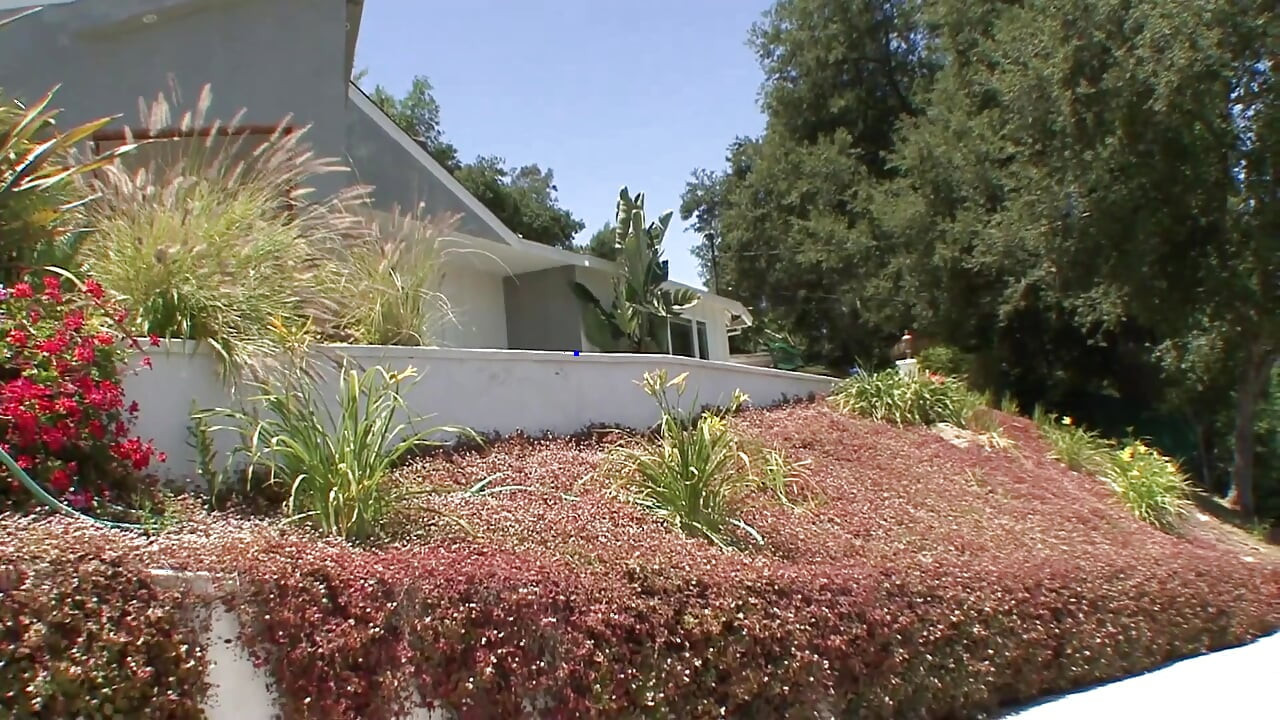 Rico drilling cute busty asian