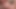 Petite Natural Perfect Toned Belly - Navel Fetish - Paintbrush Tease Part One