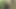 Video taken from a SEX member who met with a 19 yo idol who is currently active in a well known firm