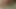 Amaterska trans cura uživa u vožnji na svom dildu