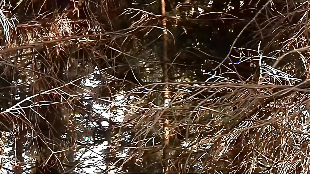 Spring Makes Us All Horny Part #4 - Fully Remastered in HD