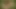 Divinedecadencesc3