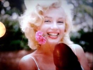 Hommage an Marilyn Monroe