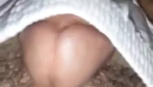 büyük horoz marocaine