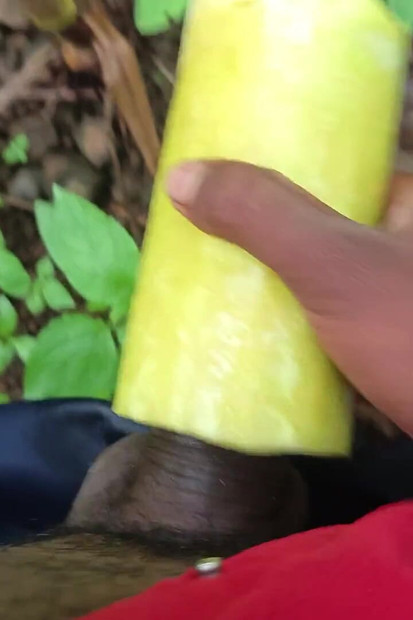 Desi Crna Zemlja