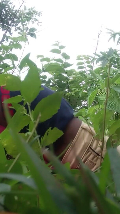 Indian desi village young married couple couldn't t have fun at home so had full fun on the jungle. | Clip 1
