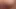 WILD SEX SEXO SELVAGEM